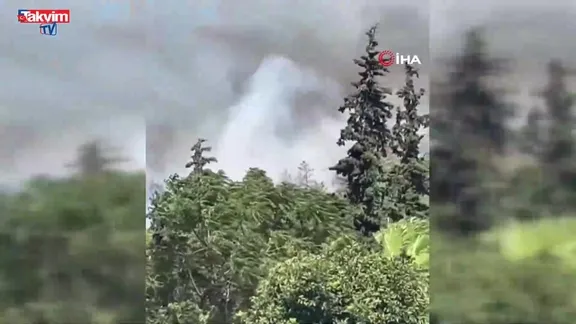 Bodrum’da orman yangını | VİDEO