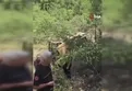 Alanya’da safari kazası: 1 ölü