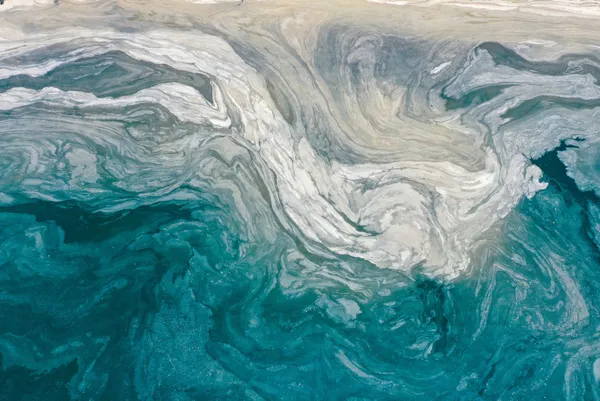 son-dakika-marmara-denizindeki-musilaja-karsi-balikcilarin-b-plani-afrikaya-acilmak-1624861738981.jpg SON DAKİKA: Marmara Denizi'ndeki müsilaja karşı balıkçıların B planı: Afrika'ya açılmak-4