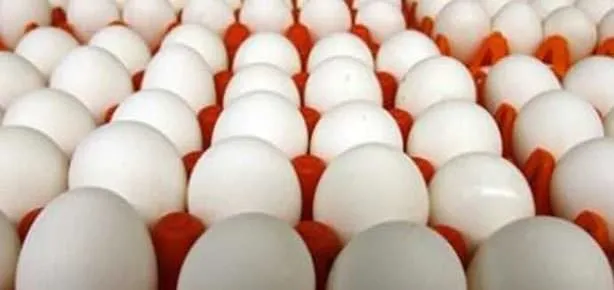 Yumurtanın faydası sebzeyle katlanıyor