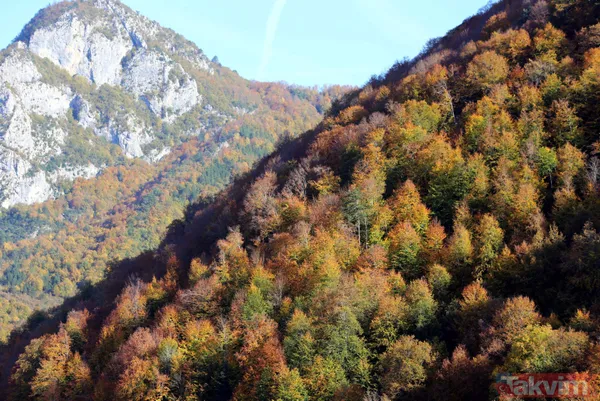 Dünyanın en derin ikincisi! Kastamonu'da büyüleyici manzara! Loç Vadisi ziyaretçilerini bekliyor - 9