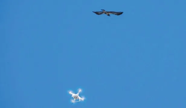 Hırsızlık şüphelisi: Şimdi biz manşetlere mi çıkacağız?-3