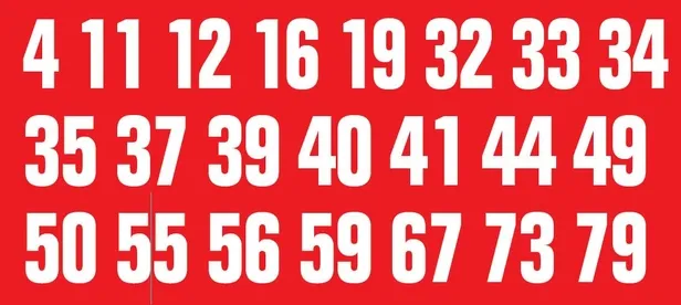 Erzurum'da bir tilki, ani hava değişimine maruz kalarak ayakta donarak can verdi (Yaşam haberleri)-1