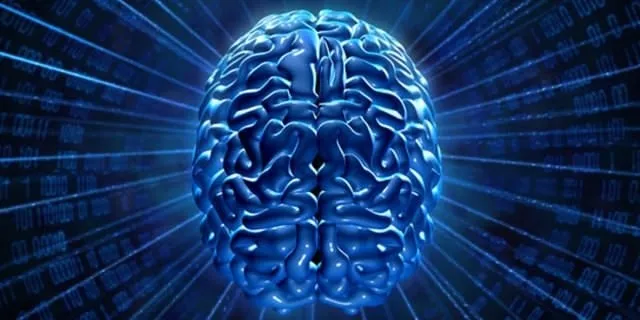 tc-kimlik-numaranla-hangi-zeka-turune-sahipsin-ogren-sonuc-90-dogru-cikiyor-1702462550525.jpg Sonuç %90 doğru çıkıyor! T.C. Kimlik numaranla hangi zeka türüne sahipsin öğren!-3