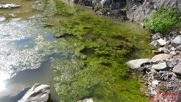 İSKİ'nin son skandalı! Kanalizasyon suları Ömerli Barajı'na akıyor - 9