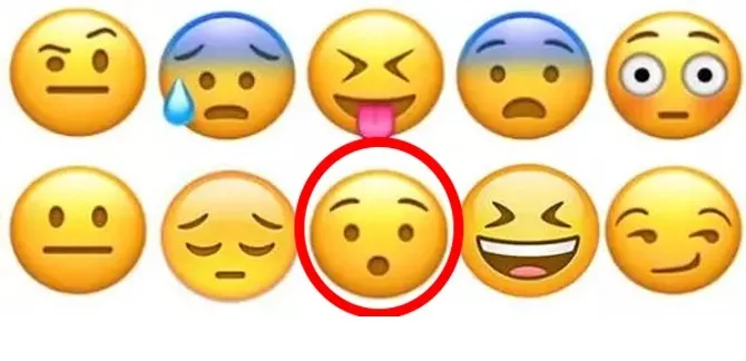 100-kisiden-1i-bulabildi-resimdeki-iki-emojiyi-bulanin-dikkat-seviyesi-zirvede-cikiyor-1714139123439.jpg 100 kişiden 1'i bulabildi! Resimdeki aynı iki emojiyi bulanın dikkat seviyesi zirvede çıkıyor-6