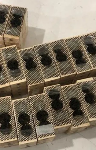 Sınırda şoke eden operasyon! Hepsi canlı ele geçirildi