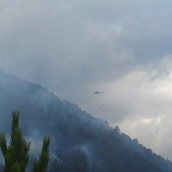 Bolu’da orman yangını!