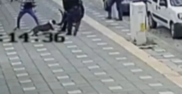 manisa da pitbull dehseti 2 polisi