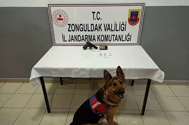 Zonguldak'ta uyuşturucu operasyonu: 1 gözaltı