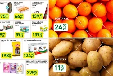 TK Ayçiçek Yağı 288,50 TL, Rize Çayı 198,90’a düştü! Tarım Kredi KOOP Çiftçi Marketi %20 indirim fırsatı