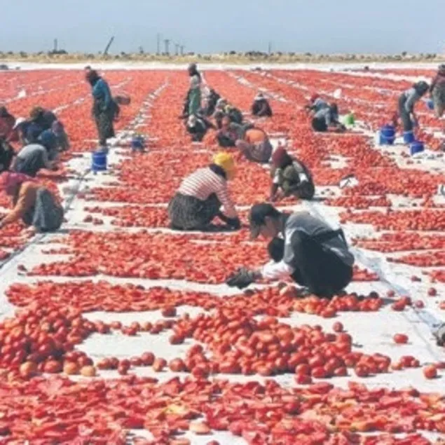 Diyarbakır’dan İtalya’ya