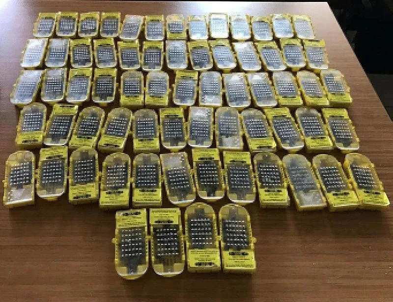 Havalimanında bal arısı operasyonu