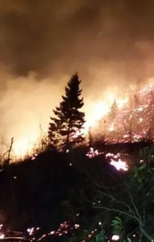 Karadeniz'de 26 noktada orman yangını! 5 ev kül olldu!