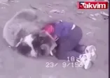 Khabib Nurmagomedov'un ayıyla güreşi
