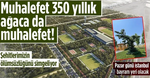 Muhalefet çevreye ve ağaca da muhalefet! Atatürk Havalimanı Millet Bahçesi’ne 350 yıllık zeytin ağacı dikildi