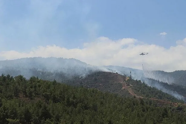 Hatay'da orman yangını! 4 kişi gözaltına alındı-4