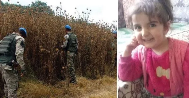 Kayıp Evrim ile ilgili flaş gelişme!
