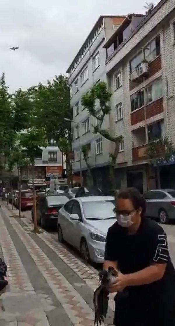 yavru-kargayi-kedilerden-kurtardi-iki-karganin-saldirisina-ugradi-1622805371102.jpg Yavru kargayı kedilerden kurtardı! İki karganın saldırısına uğradı-3