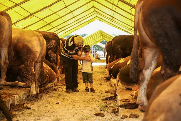 15-16-temmuz-resmi-tatil-mi-15-temmuz-bayram-tatiliyle-mi-birlestirildi-kurban-bayram-tatili-11-gun-mu-olacak-1625633931207.jpg 15 Temmuz bayram tatiliyle mi birleştirildi? 15-16 Temmuz resmi tatil mi? Kurban Bayram tatili 11 gün mü olacak 2021?-2