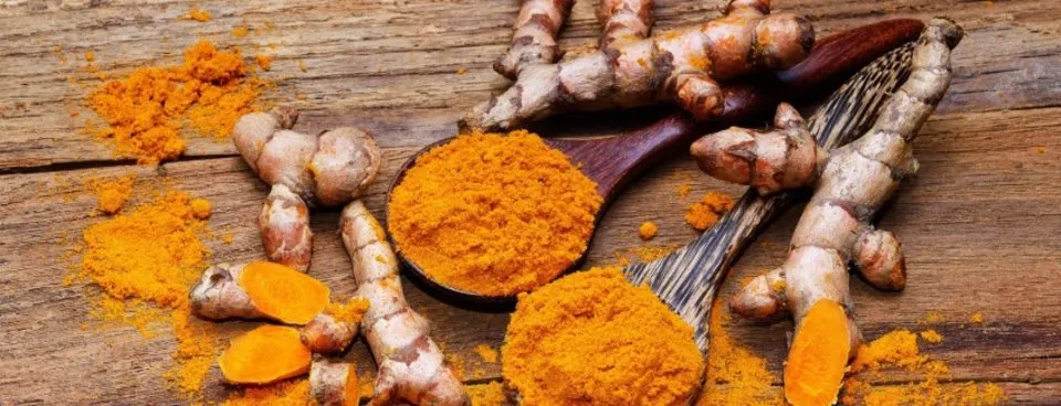 Zerdecal Kalp Krizi Riskini Azaltiyor Zerdecalin Faydalari Nelerdir Galeri Takvim