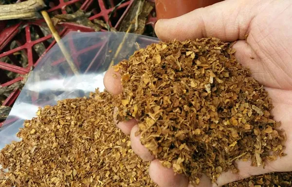 son-dakika-yasa-teklifi-mecliste-tutun-urunlerinde-kacakciliga-hapis-cezasi-geliyor-1666109117514.jpg Son dakika: Yasa teklifi Meclis'te: Tütün ürünlerinde kaçakçılığa hapis cezası geliyor-7