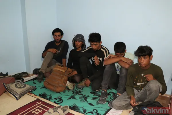 Van'da apartmanda 1'i çocuk 16 kaçak göçmen yakalandı - 5