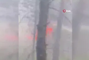 Amasya’da korkutan orman yangını