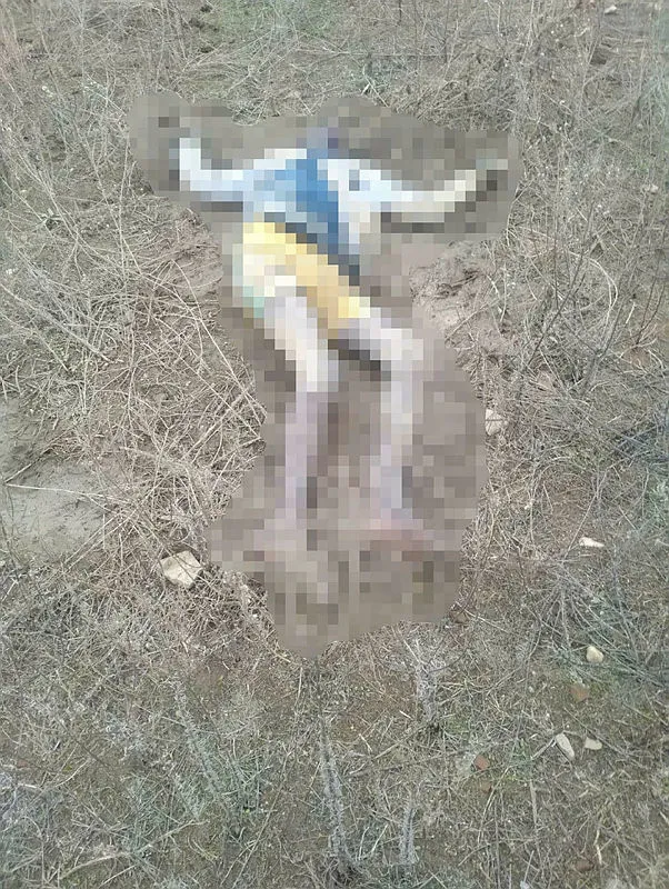 Edirne'de donarak ölen 3 kişinin cesedi bulundu-1