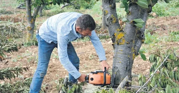 Tarlada 2 tezgahta 49 TL: Üreticinin kiraz isyanı (Ekonomi haberleri)