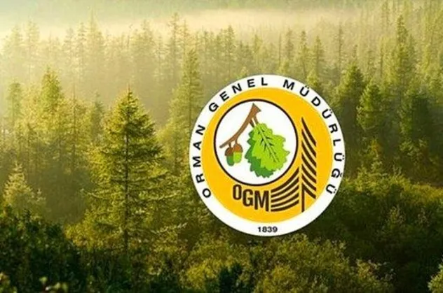 Orman Genel Müdürlüğü orman mühendisi alımı şartları nelerdir? OGM personel alımı ne zaman yapılacak? Hangi illerde alım yapılacak?
