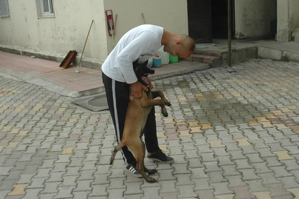 Polis, çalınan köpeği 160 kilometre iz sürerek buldu-2