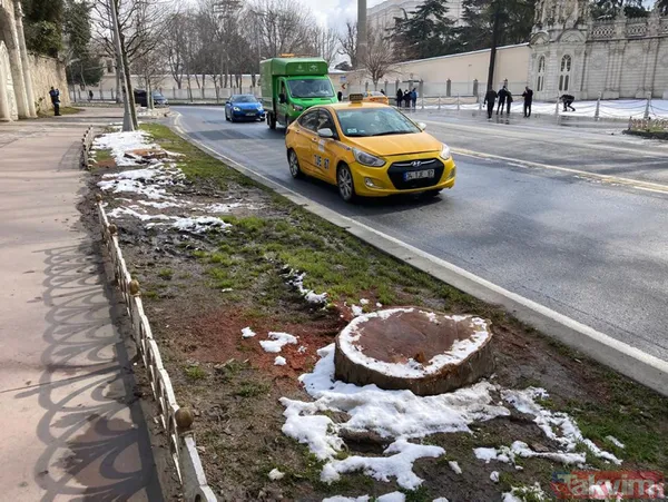 Gezici tayfa ve sözde çevrecilerin ikiyüzlülüğü! CHP'li İBB'nin ağaç katliamı karşısında dilini yuttular: Tepkiler çığ gibi - 10