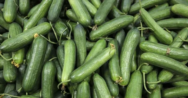 En çok artış salatalıkta