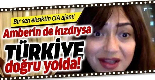 PKK ve FETÖ sevici Amberin Zaman'dan ABD'ye Barış Pınarı tepkisi!