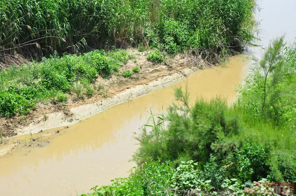 Manisa'da Nif Çayı'nın rengi kırmızıya döndü! İşte nedeni: iki noktadan kamyonla atık döküldü - 5