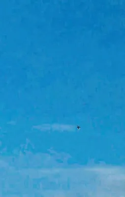 Kalamış'ta UFO heyecanı!