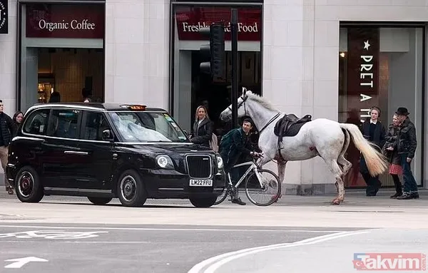 Öfkeli beş Kraliyet atı Londra’yı birbirine kattı! Kaçak atlardan biri sabıkalı çıktı: Kral Charles’ın taç giyme töreninde kafaya tekme - 7