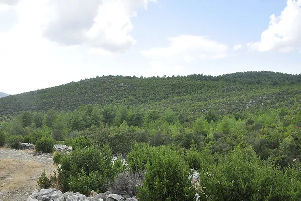 Avrupa'dan sipariş yağıyor! 5 milyon TL'lik gelir!-5