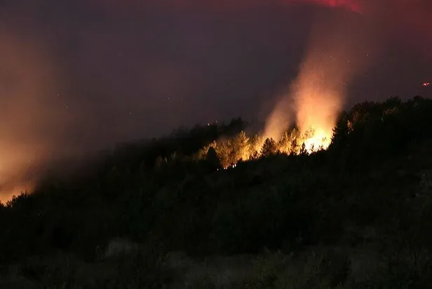 Son dakika: Kastamonu'daki orman yangını, 21 saatte kontrol altına alındı-1
