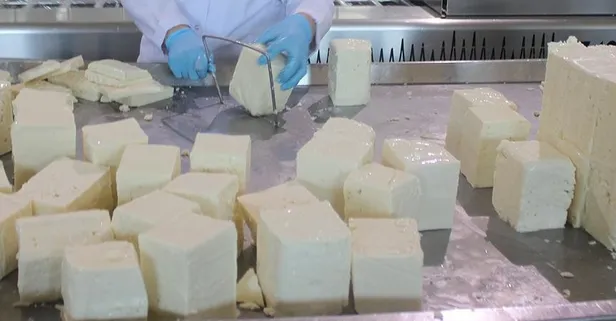 Lor peyniri beyin sağlığını koruyor!