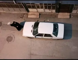 Aldatılan kadın mahalleyi birbirine kattı