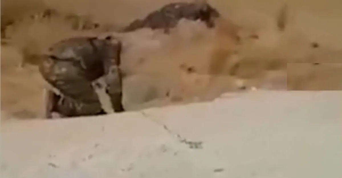 Hain tuzak son anda fark edildi! Resulayn ile Tel Abyad arasındaki yollarda mayın temizliği