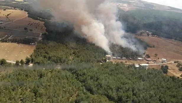 Bornova'da orman yangını