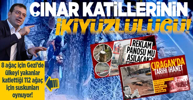8 ağaç bahanesiyle çıkan Gezi olaylarına destek veren İmamoğlu, İBB'nin katlettiği 112 çınarla ilgili tek kelime söyleyemedi
