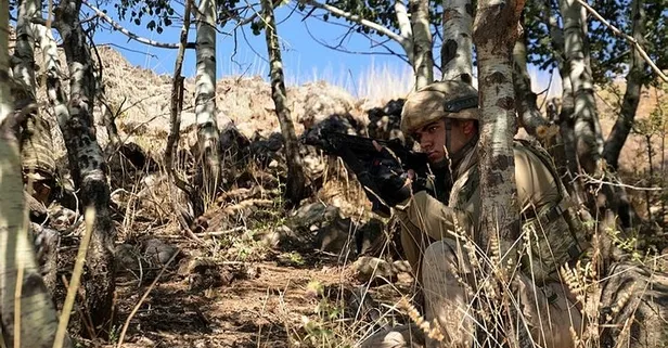 Son dakika: 1022 kahraman 'Yıldırım-9 Şenyayla' operasyonunu sürdürüyor