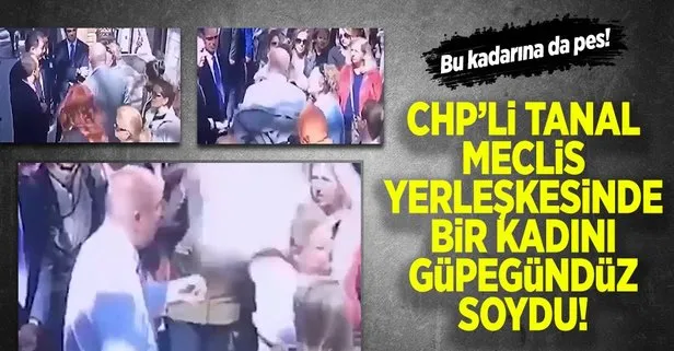 CHP’li Tanal partili bir kadını Meclis yerleşkesinde soydu