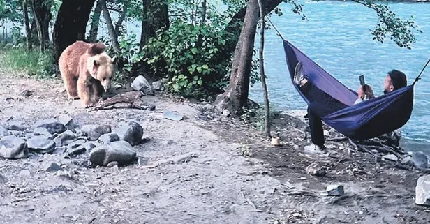 Tunceli’de kamp yapan fotoğrafçıya ayı ailesinden sürpriz ziyaret