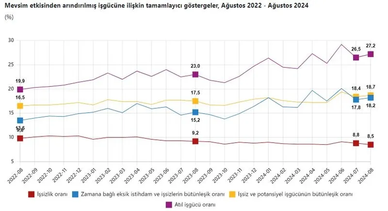 Mevsim etkisinden arındırılmış işgücüne ilişkin tamamlayıcı göstergeler, Ağustos 2022 - Ağustos 2024 (Tablo: TÜİK)