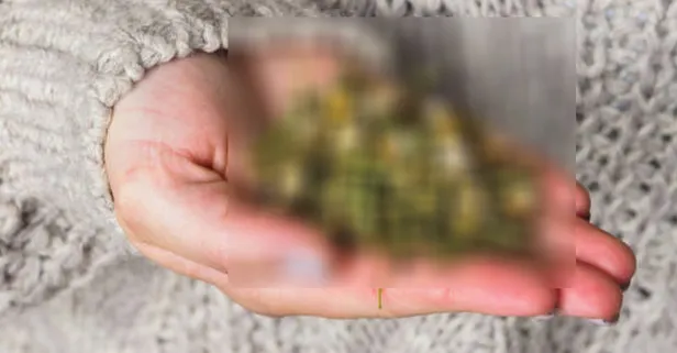 Kış ayında talep yağıyor! Faydalarını duyunca yol kenarından bile toplamak için can atacaksınız!